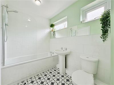 Picture 7